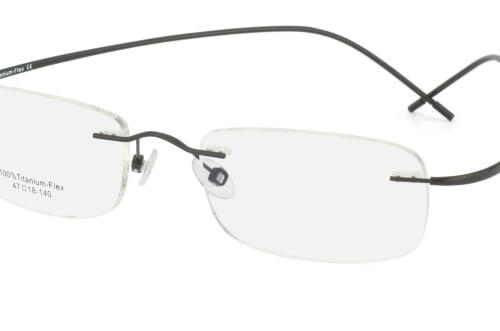 Aspect by Mister Spex Havel Titanium 1016 001