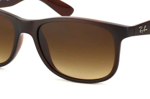 Ray-Ban Andy RB 4202 607313