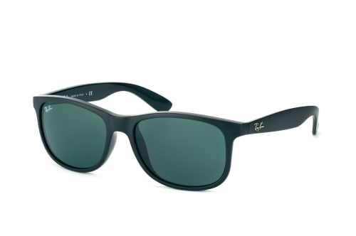 Ray-Ban Andy RB 4202 6069/71