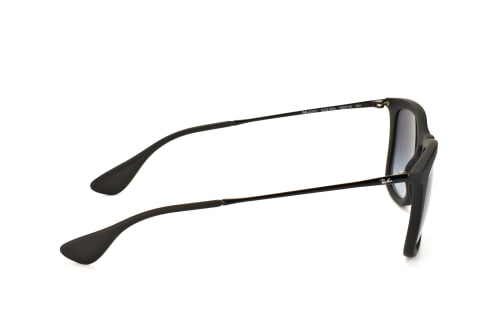 Ray-Ban RB 4221 622/8G