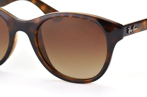 Ray-Ban RB 4203 710/13