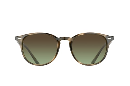 Ray-Ban RB 4259 731/E8