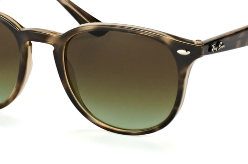 Ray-Ban RB 4259 731/E8