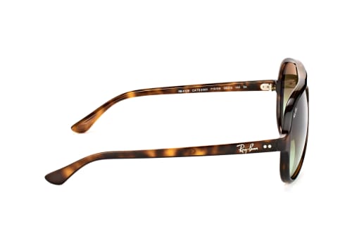 Ray-Ban Cats 5000 RB 4125 710/A6