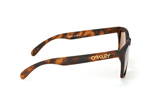 Oakley Frogskins OO 9013 C5