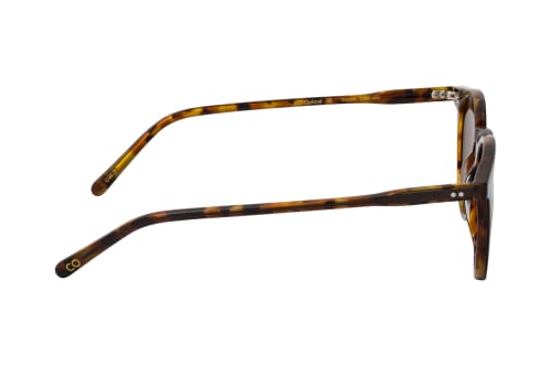 CO Optical Caspar 2060 005