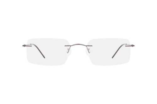 Aspect by Mister Spex Norris Titanium 3059 004