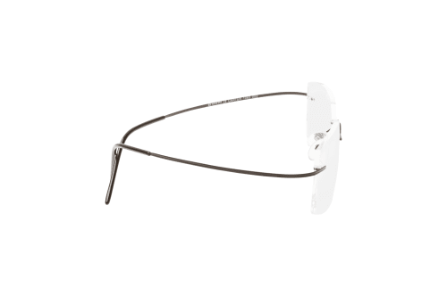 Aspect by Mister Spex Carter Titanium 1065 002