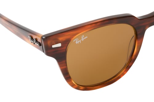 Ray-Ban Meteor RB 2168 954/33