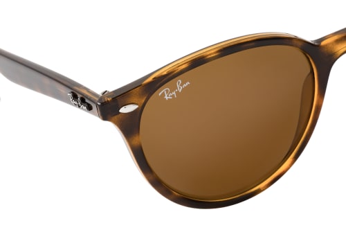 Ray-Ban RB 4305 710/73