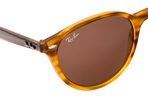 Ray-Ban RB 4305 820/73