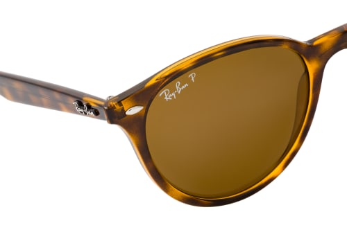 Ray-Ban RB 4305 710/83