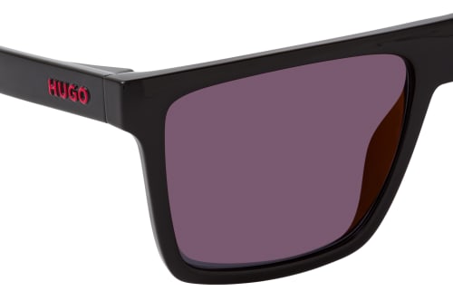 Hugo Boss HG 1069/S 807