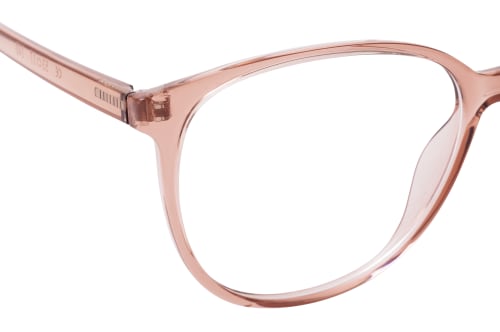 Nadine Klein x Mister Spex Cloud rose