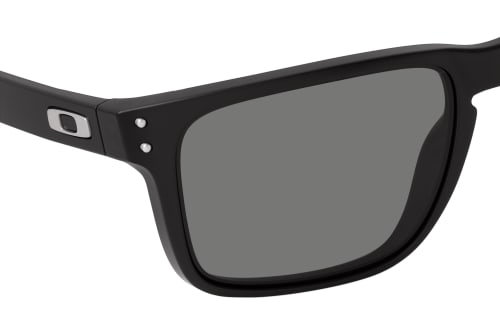 Oakley Holbrook XL OO 9417 22