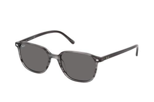 Ray-Ban Leonard RB 2193 1314B1