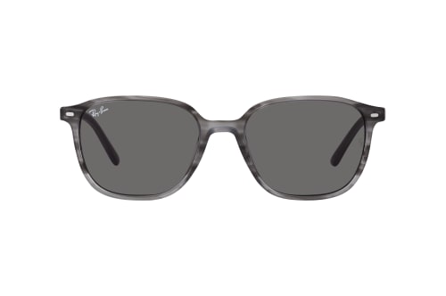 Ray-Ban Leonard RB 2193 1314B1