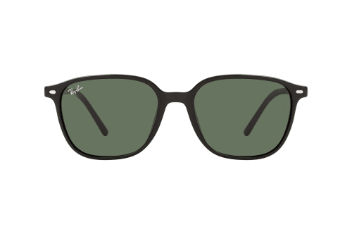 Ray-Ban Leonard RB 2193 901/31