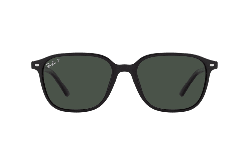 Ray-Ban Leonard RB 2193 901/58