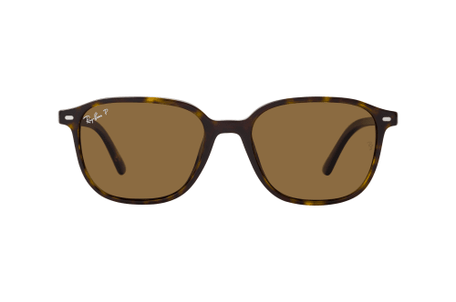 Ray-Ban Leonard RB 2193 902/57