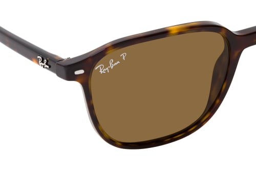 Ray-Ban Leonard RB 2193 902/57