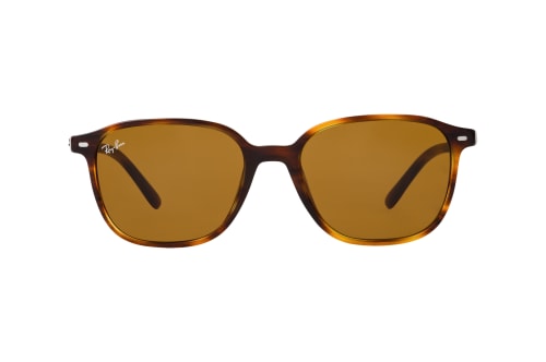 Ray-Ban Leonard RB 2193 954/33