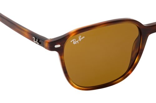 Ray-Ban Leonard RB 2193 954/33