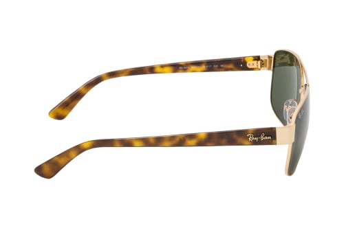 Ray-Ban RB 3663 001/31