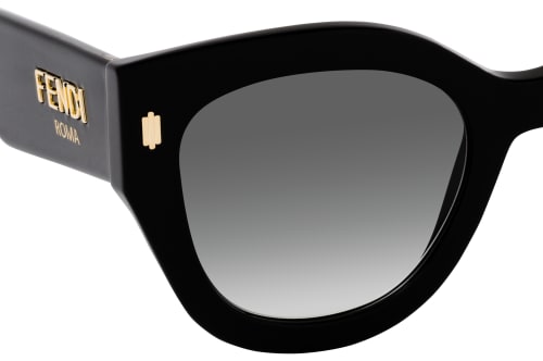 Fendi FF 0435/S 807