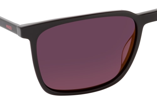 Hugo Boss HG 1096/S 807