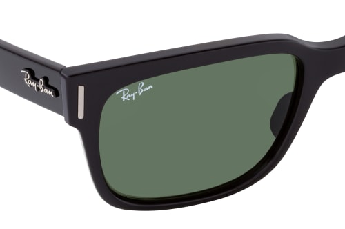 Ray-Ban RB 2190 901/31