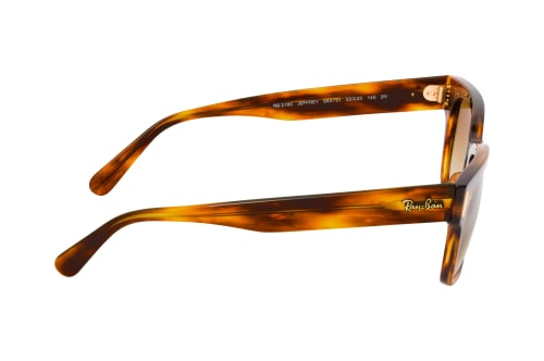 Ray-Ban RB 2190 954/51