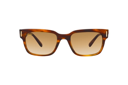 Ray-Ban RB 2190 954/51