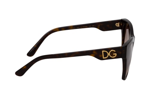 Dolce&Gabbana DG 4384 502/13