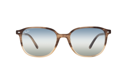 Ray-Ban Leonard RB 2193 1327GF