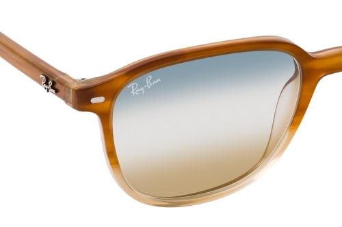 Ray-Ban Leonard RB 2193 1328GD small