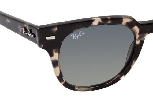 Ray-Ban Meteor RB 2168 133371