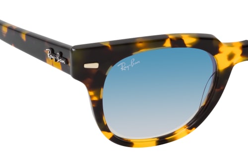 Ray-Ban Meteor RB 2168 13323F