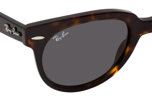 Ray-Ban Orion RB 2199 902/B1