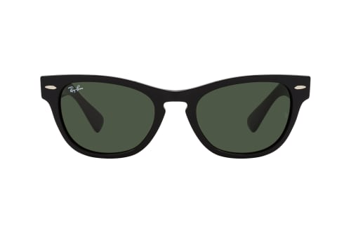 Ray-Ban Laramie RB 2201 901/31