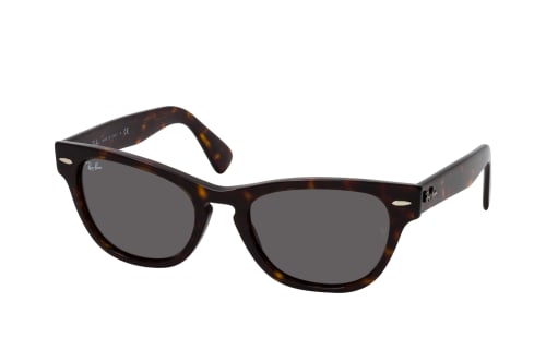 Ray-Ban Laramie RB 2201 902/B1