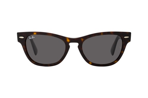 Ray-Ban Laramie RB 2201 902/B1