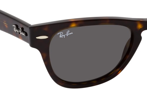 Ray-Ban Laramie RB 2201 902/B1