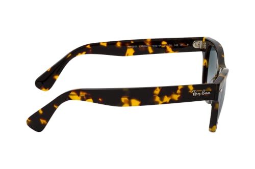 Ray-Ban Laramie RB 2201 13323F