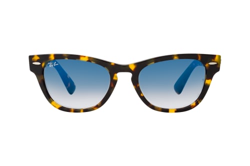 Ray-Ban Laramie RB 2201 13323F