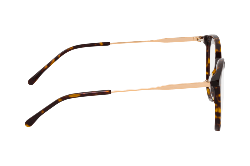 CO Optical Shire 1342 R31