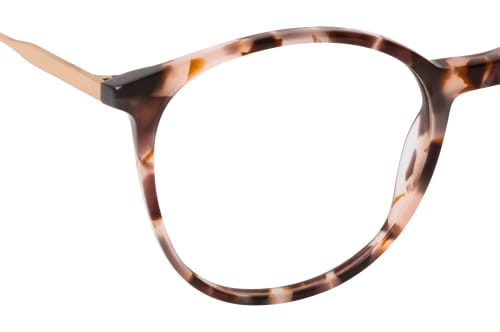 CO Optical Shire 1342 R23