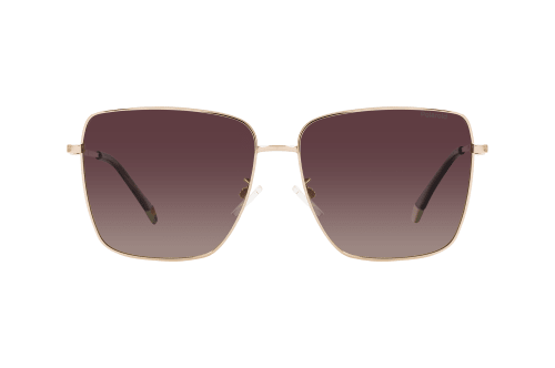 Polaroid PLD 6164/G/S 06J