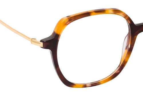 CO Optical Linu 1321 R31