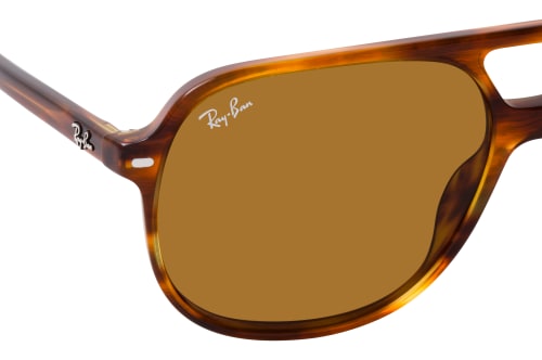 Ray-Ban Bill RB 2198 954/33